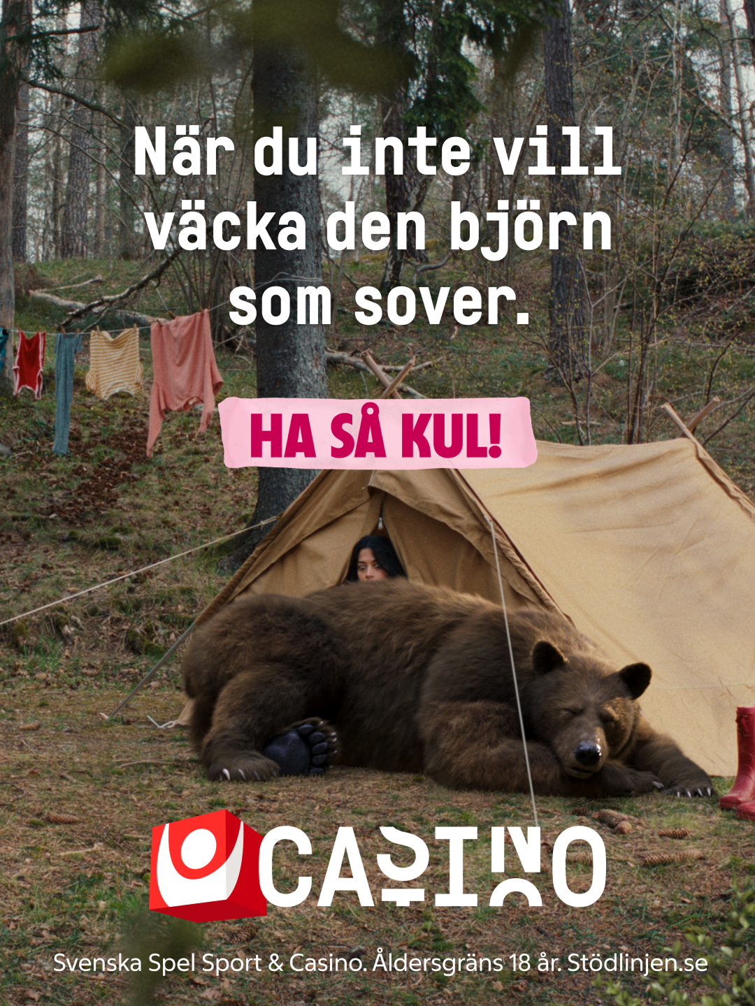 väckabjörnimage 19